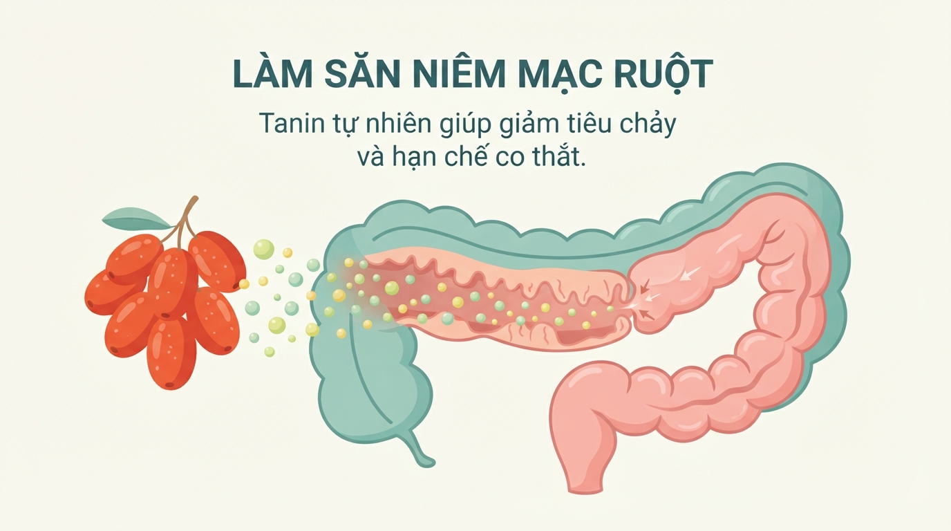 Chất tanin tự nhiên trong quả giúp làm dịu và săn niêm mạc ruột hiệu quả.