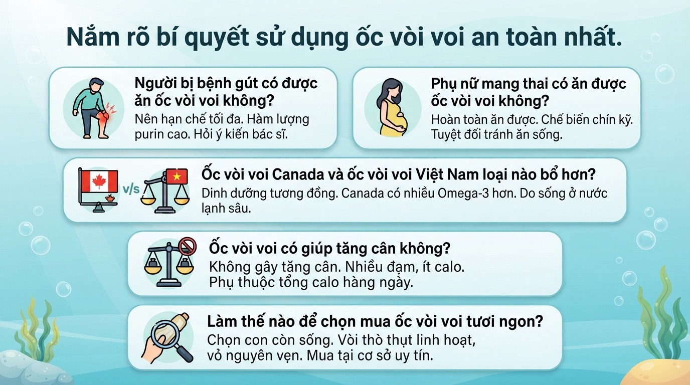 Ốc vòi voi là gì? Giá trị dinh dưỡng và lợi ích sức khỏe