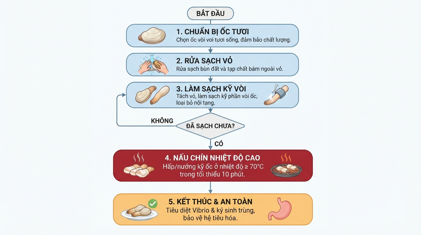 Chế biến chín kỹ ốc vòi voi giúp tiêu diệt vi khuẩn Vibrio và bảo vệ hệ tiêu hóa.