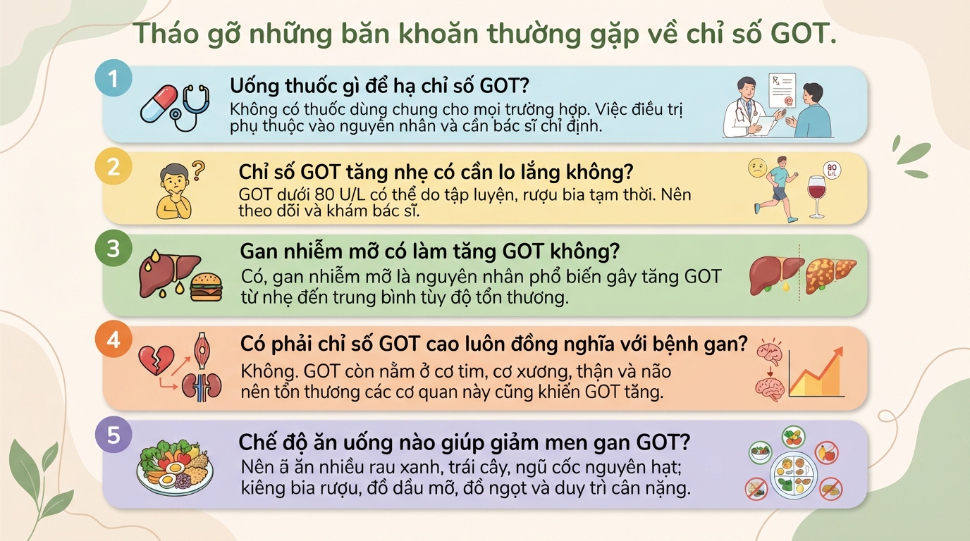 Chỉ số GOT là gì? Ý nghĩa xét nghiệm, nguyên nhân tăng và khi nào cần đi khám