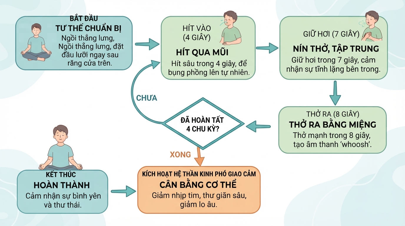 Chu kỳ hít thở 4-7-8 giúp kích hoạt hệ thần kinh phó giao cảm và ổn định nhịp tim.