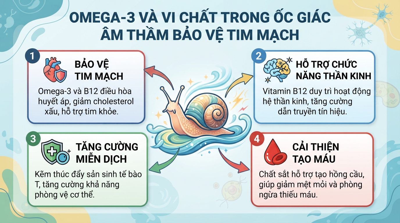 Ốc giác có tác dụng gì? Giá trị dinh dưỡng và lưu ý khi ăn