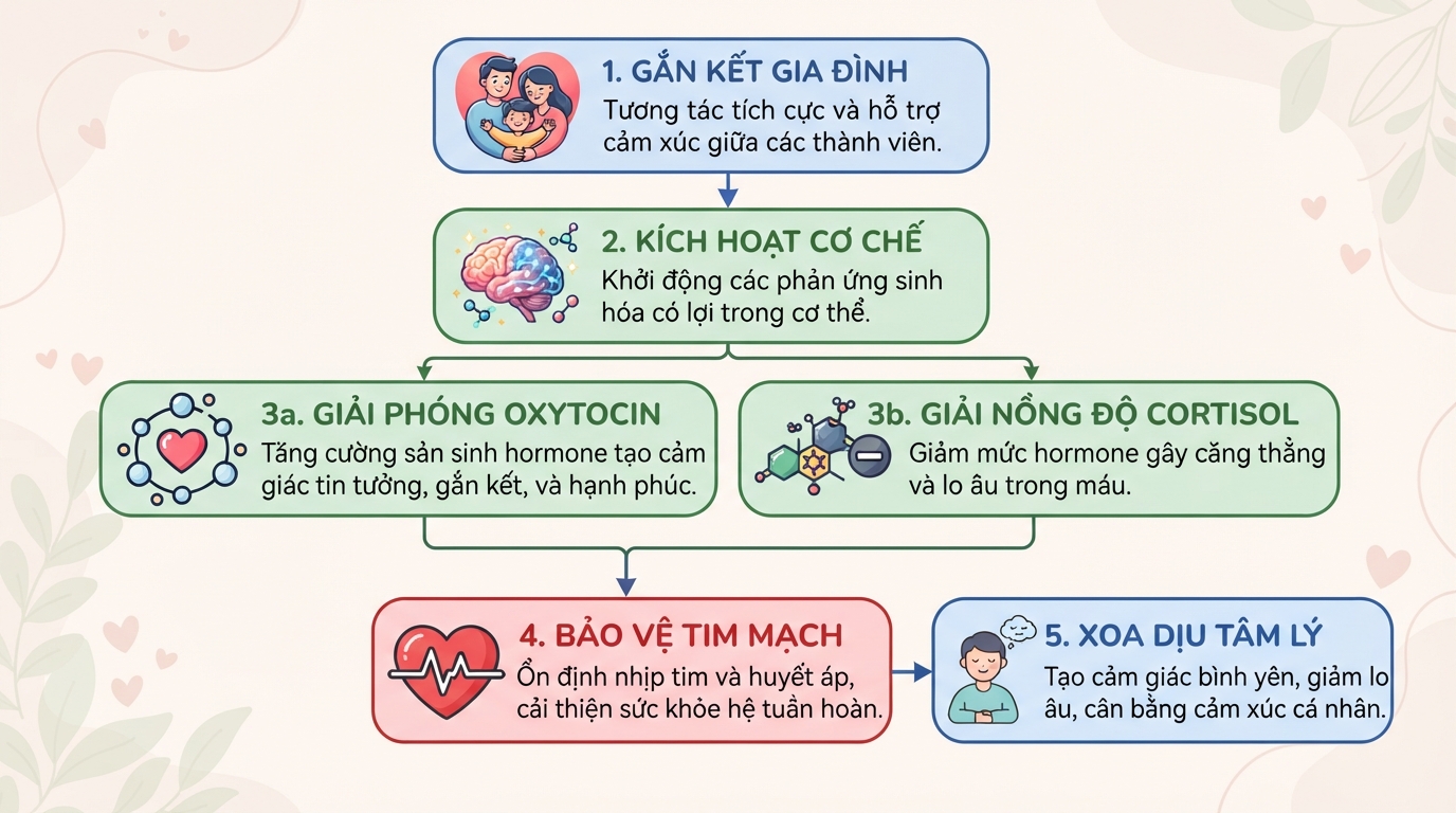 Cơ chế sinh học thể hiện vai trò của gia đình trong việc giảm căng thẳng và bảo vệ tim mạch.