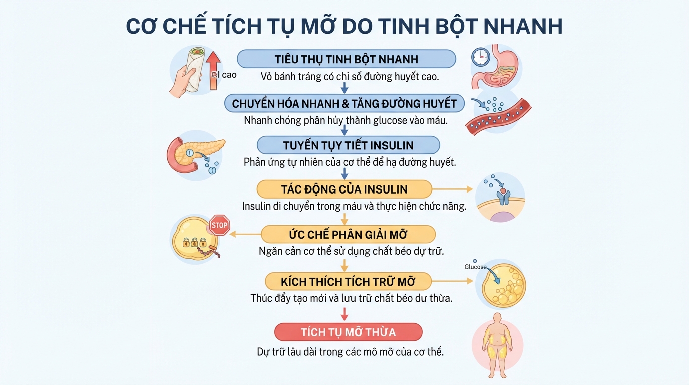Cơ chế tinh bột nhanh kích thích insulin tích tụ mỡ thừa trong cơ thể.