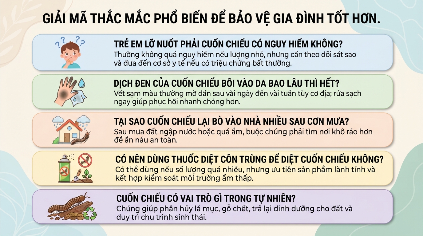Con cuốn chiếu có độc không? Cách xử lý khi bị cắn đúng cách tại nhà