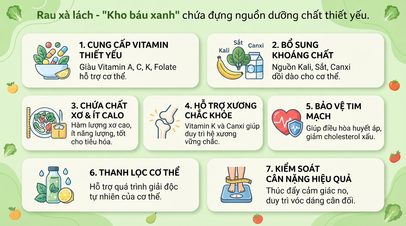 Ăn rau xà lách sống có tốt không? Lợi ích và lưu ý để tránh ngộ độc