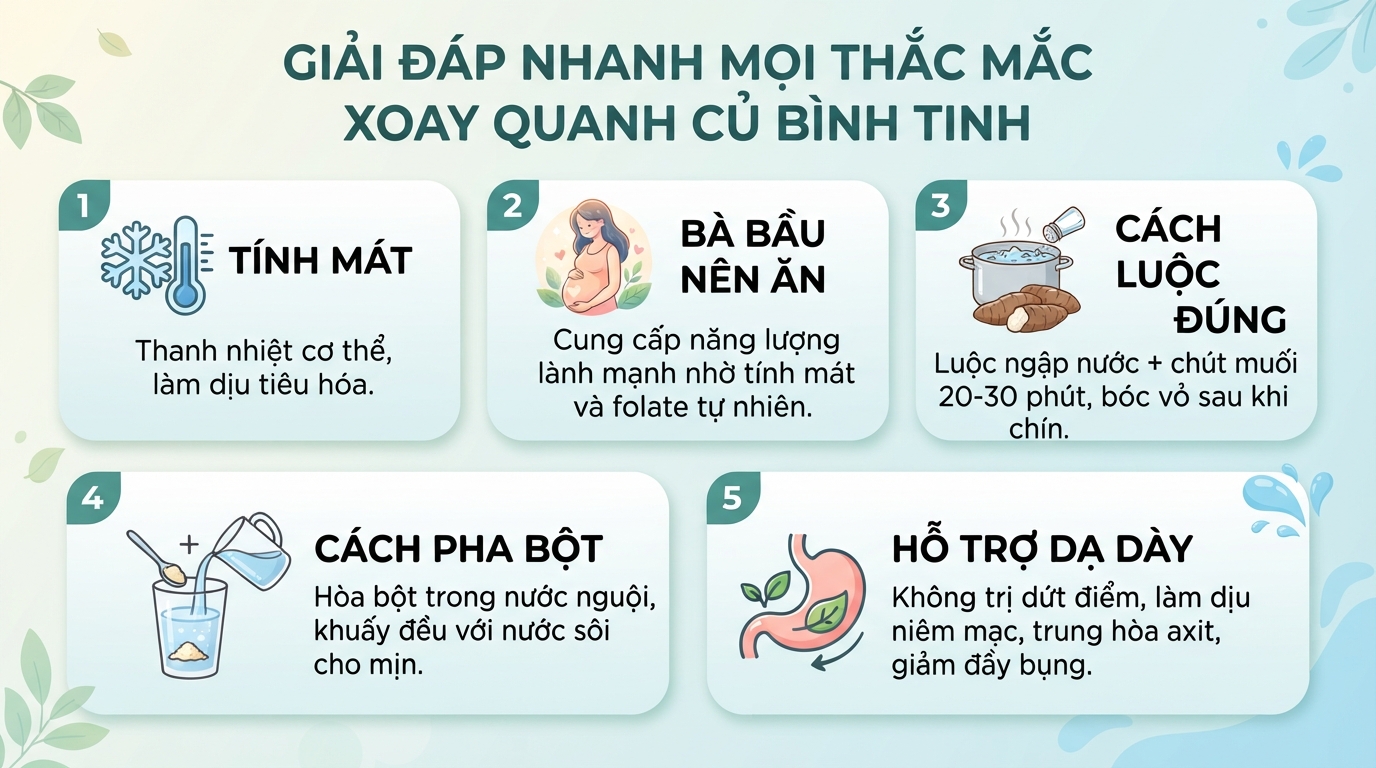 Củ bình tinh là gì? Giá trị dinh dưỡng, công dụng và cách sử dụng