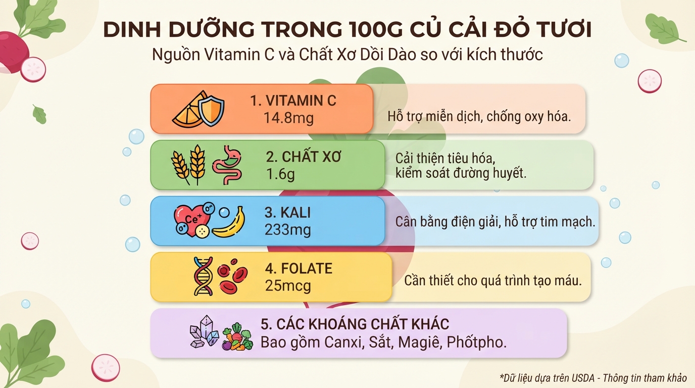 Củ cải đỏ chứa hàm lượng vitamin C và chất xơ cao vượt trội so với kích thước.