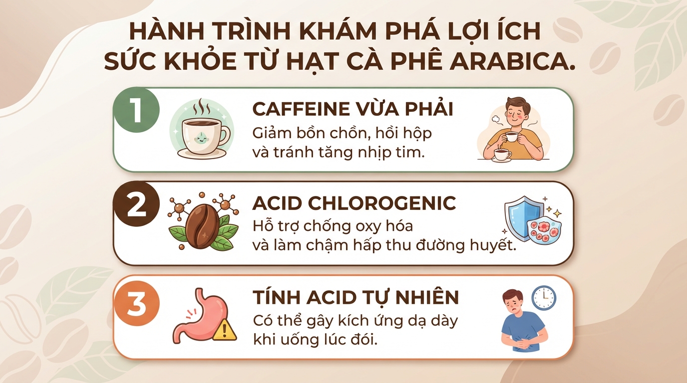 Cà phê Arabica là gì? Thành phần, lợi ích sức khỏe và cách uống phù hợp