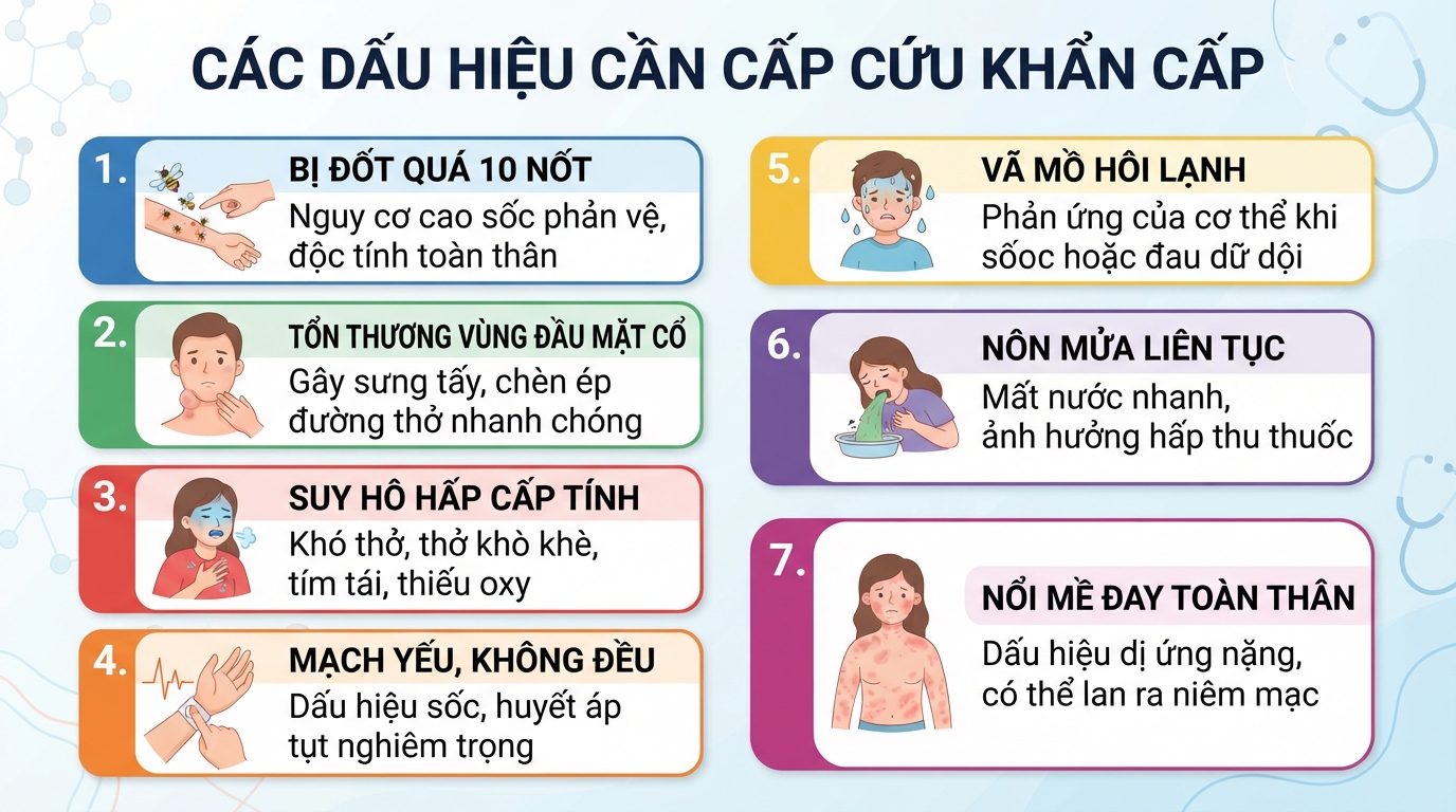 Dấu hiệu cảnh báo nguy kịch cần đưa người bệnh đến cơ sở y tế khẩn cấp.