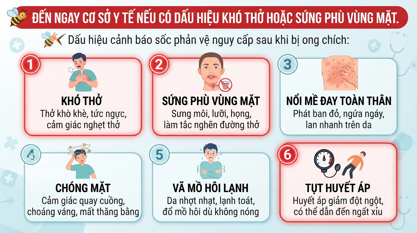 Đến ngay cơ sở y tế nếu có dấu hiệu khó thở hoặc sưng phù vùng mặt.