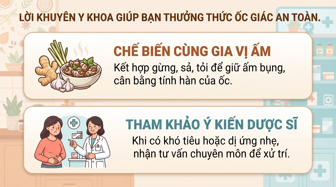 Ốc giác có tác dụng gì? Giá trị dinh dưỡng và lưu ý khi ăn