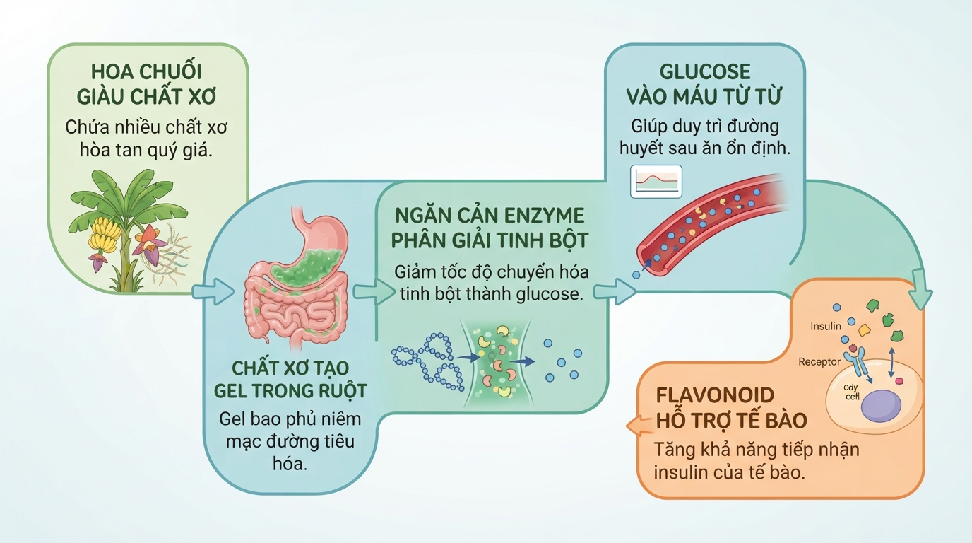 Gel sinh học từ chất xơ hòa tan giúp làm chậm quá trình hấp thu glucose vào máu.