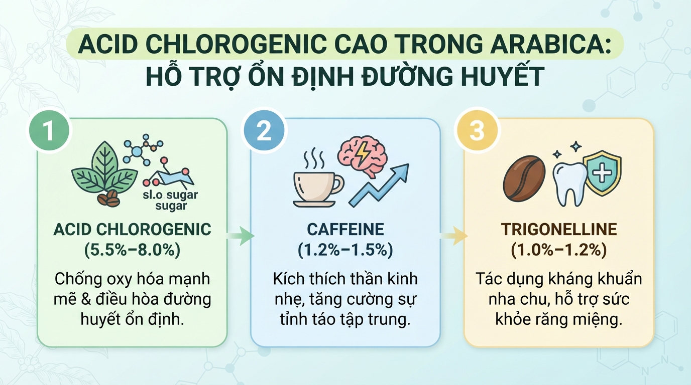Hàm lượng acid chlorogenic cao trong hạt hỗ trợ làm chậm quá trình hấp thu đường huyết.