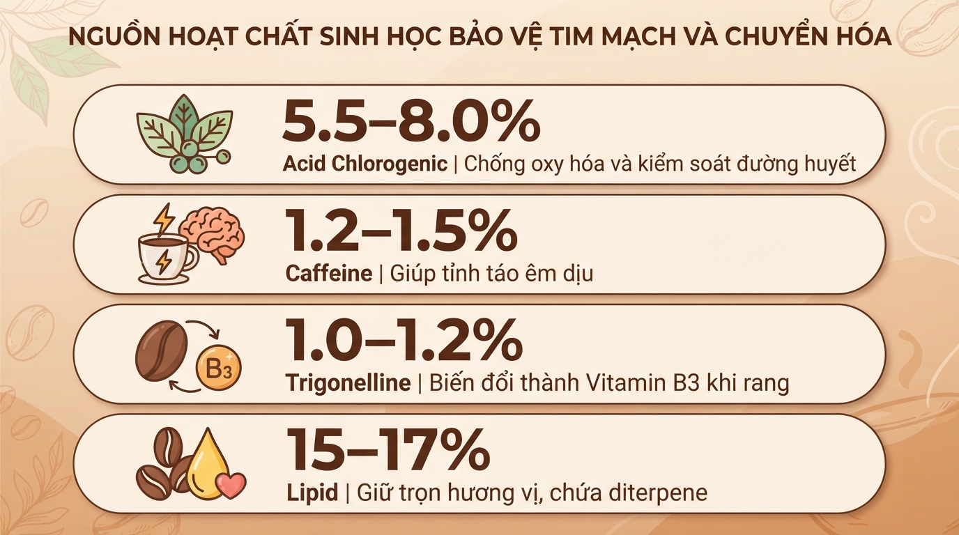 Cà phê Arabica là gì? Thành phần, lợi ích sức khỏe và cách uống phù hợp