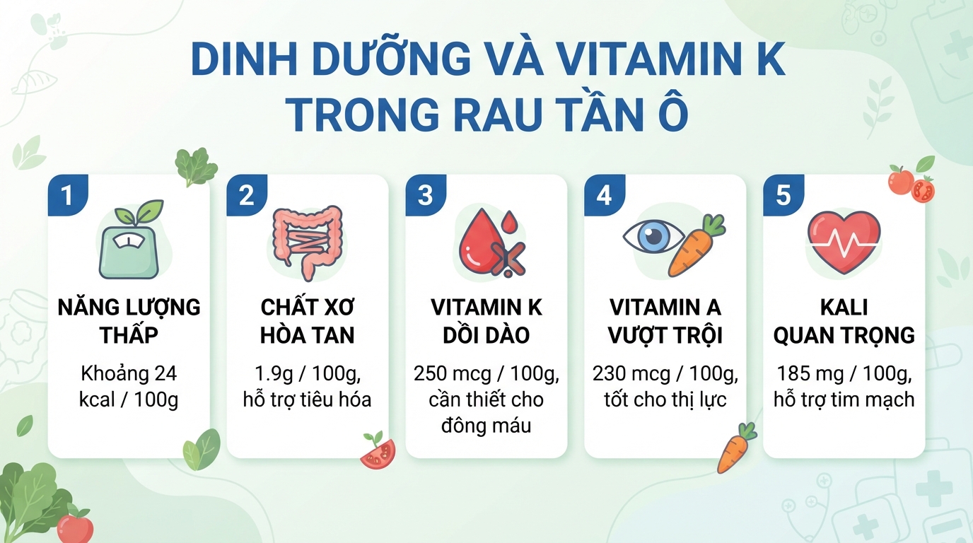 Hàm lượng dưỡng chất và vitamin K dồi dào có trong rau tần ô tươi.
