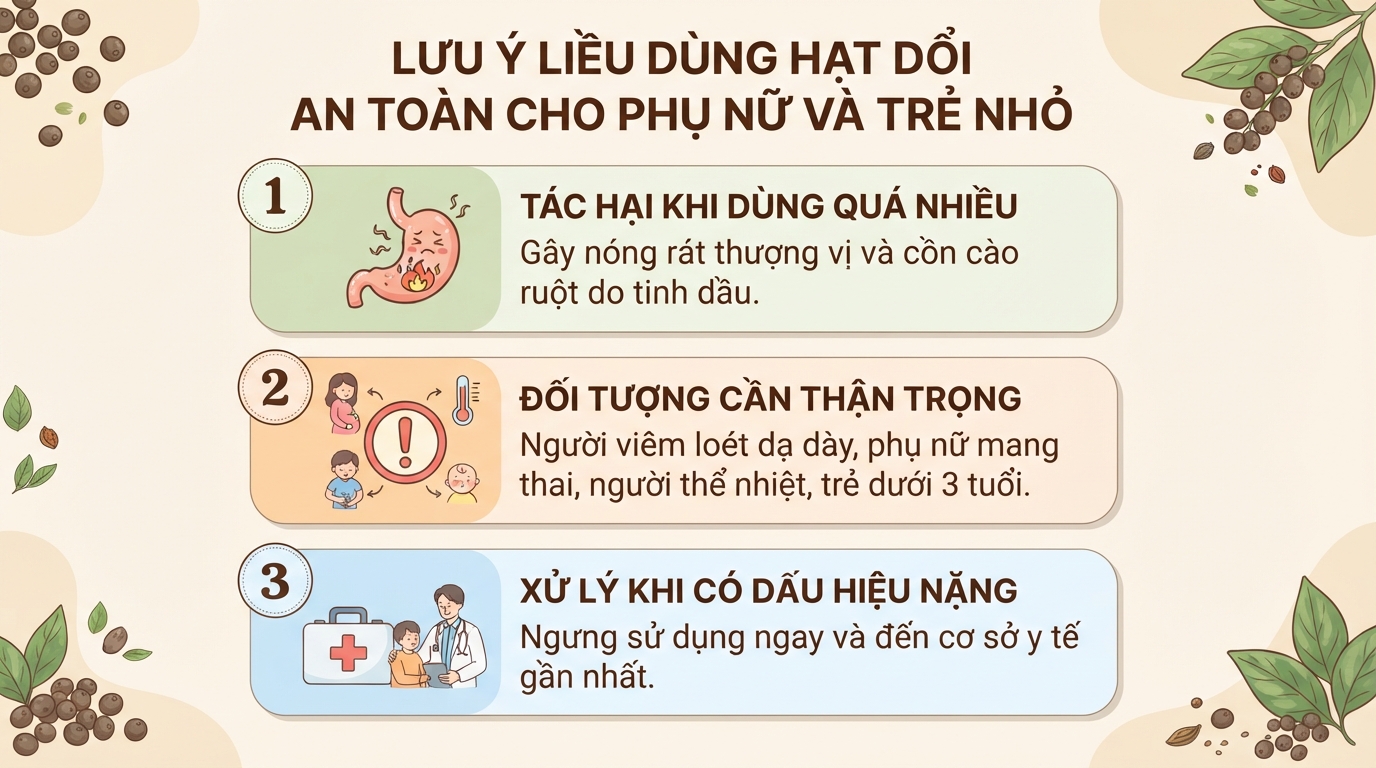 Hạt dổi là gì? Công dụng, cách dùng và lưu ý khi sử dụng