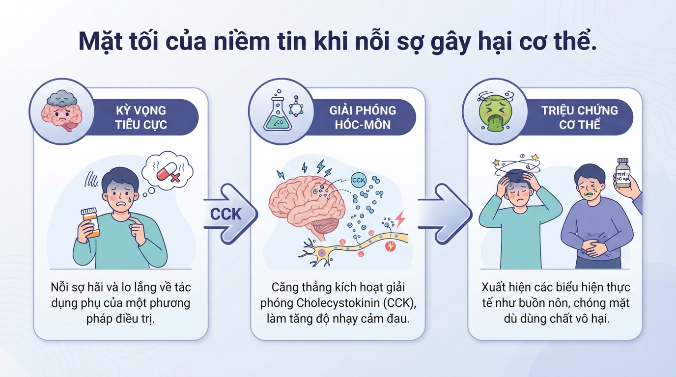 Hiệu ứng giả dược là gì? Ý nghĩa placebo trong y học