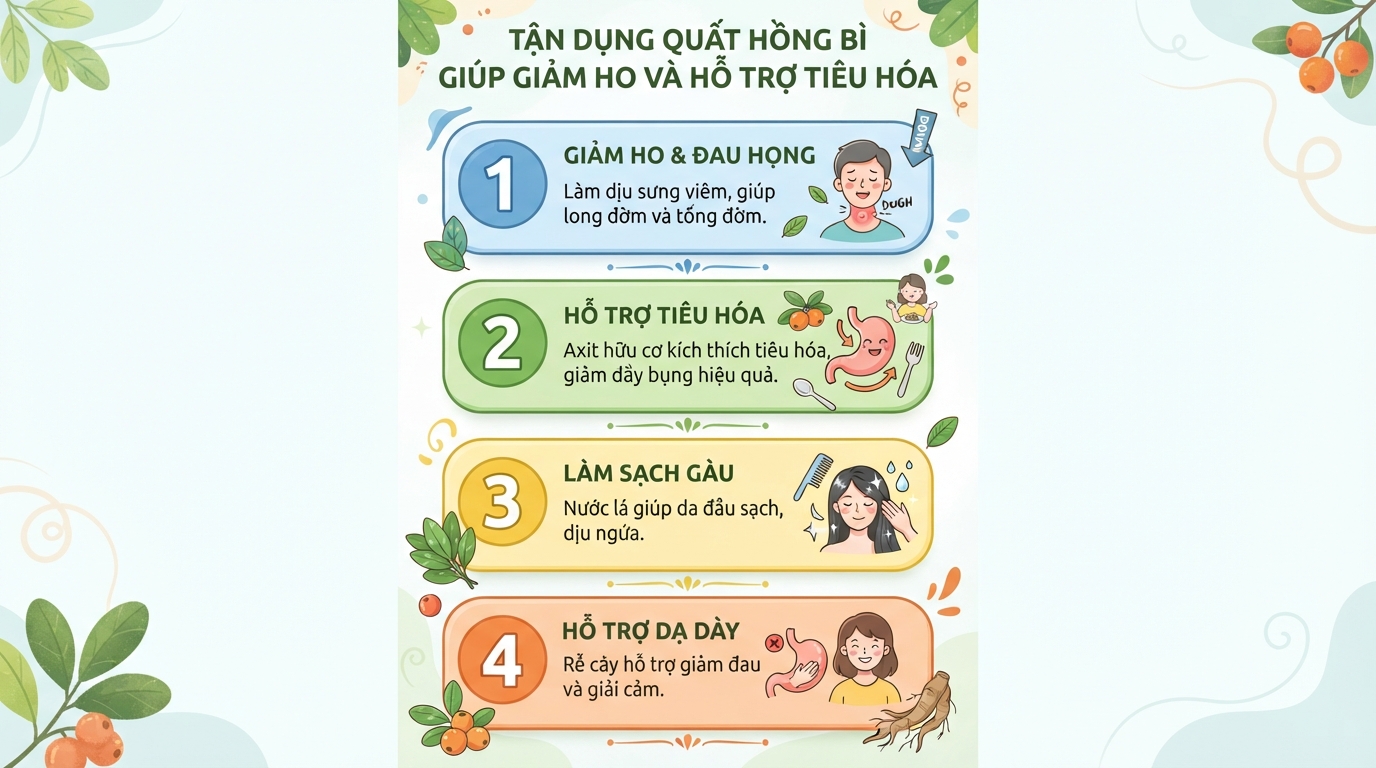 Quất hồng bì: 6 tác dụng, trị ho, tiêu hóa và cách ngâm mật ong chuẩn