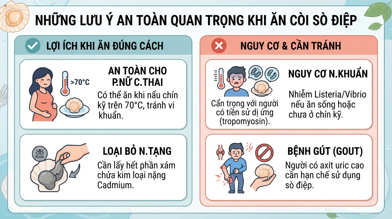 Sò điệp có tác dụng gì? 7 lợi ích sức khỏe và lưu ý khi ăn