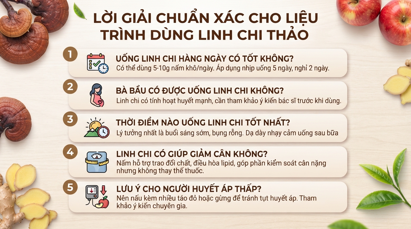 Linh chi thảo: Công dụng và cách dùng phối hợp táo đỏ hiệu quả