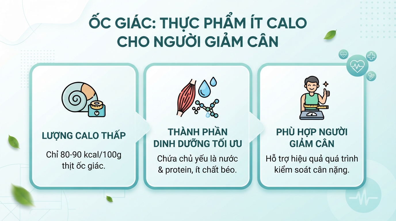 Lượng calo thấp từ thịt ốc giác giúp hỗ trợ quá trình kiểm soát cân nặng hiệu quả.