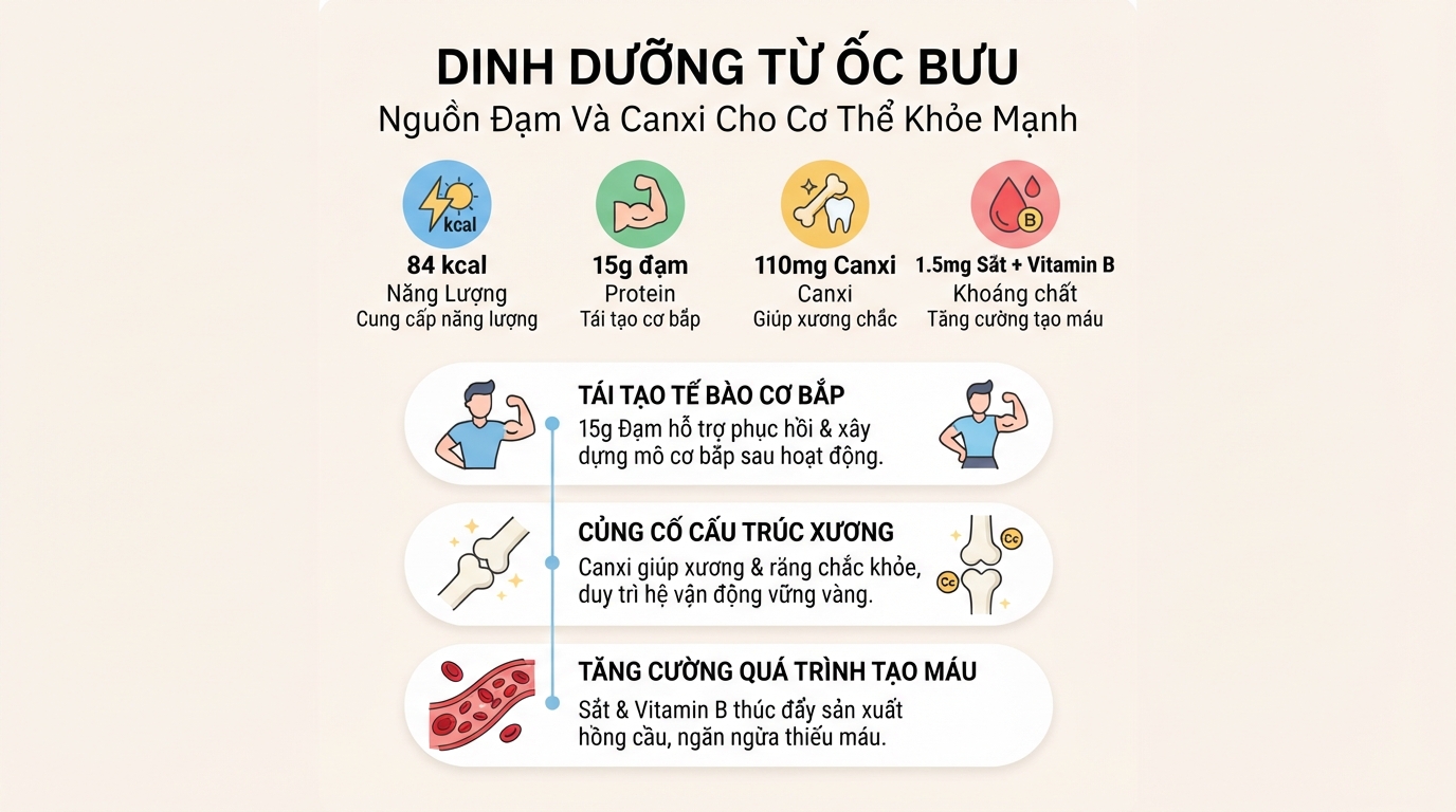 Lượng đạm và canxi trong ốc bươu giúp cơ bắp tái tạo và xương chắc khỏe.