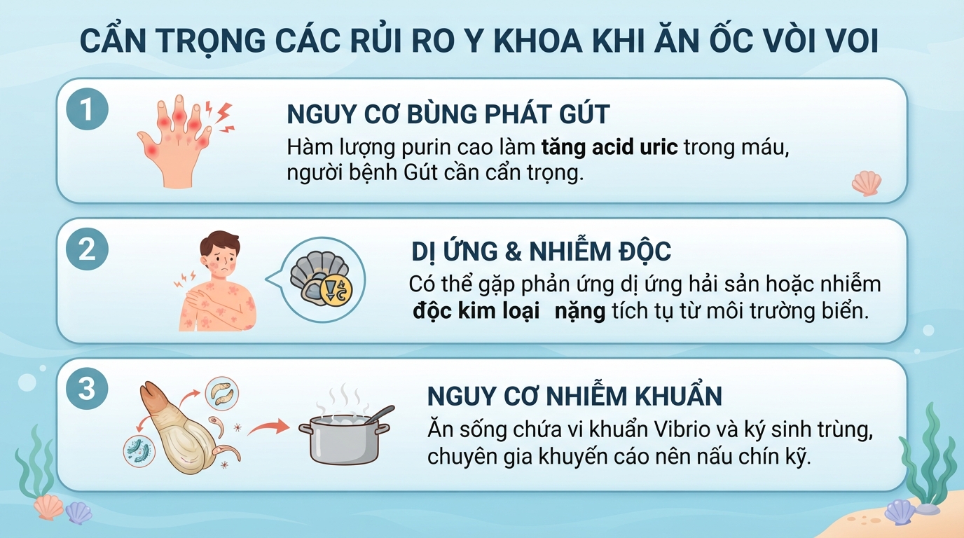 Ốc vòi voi là gì? Giá trị dinh dưỡng và lợi ích sức khỏe