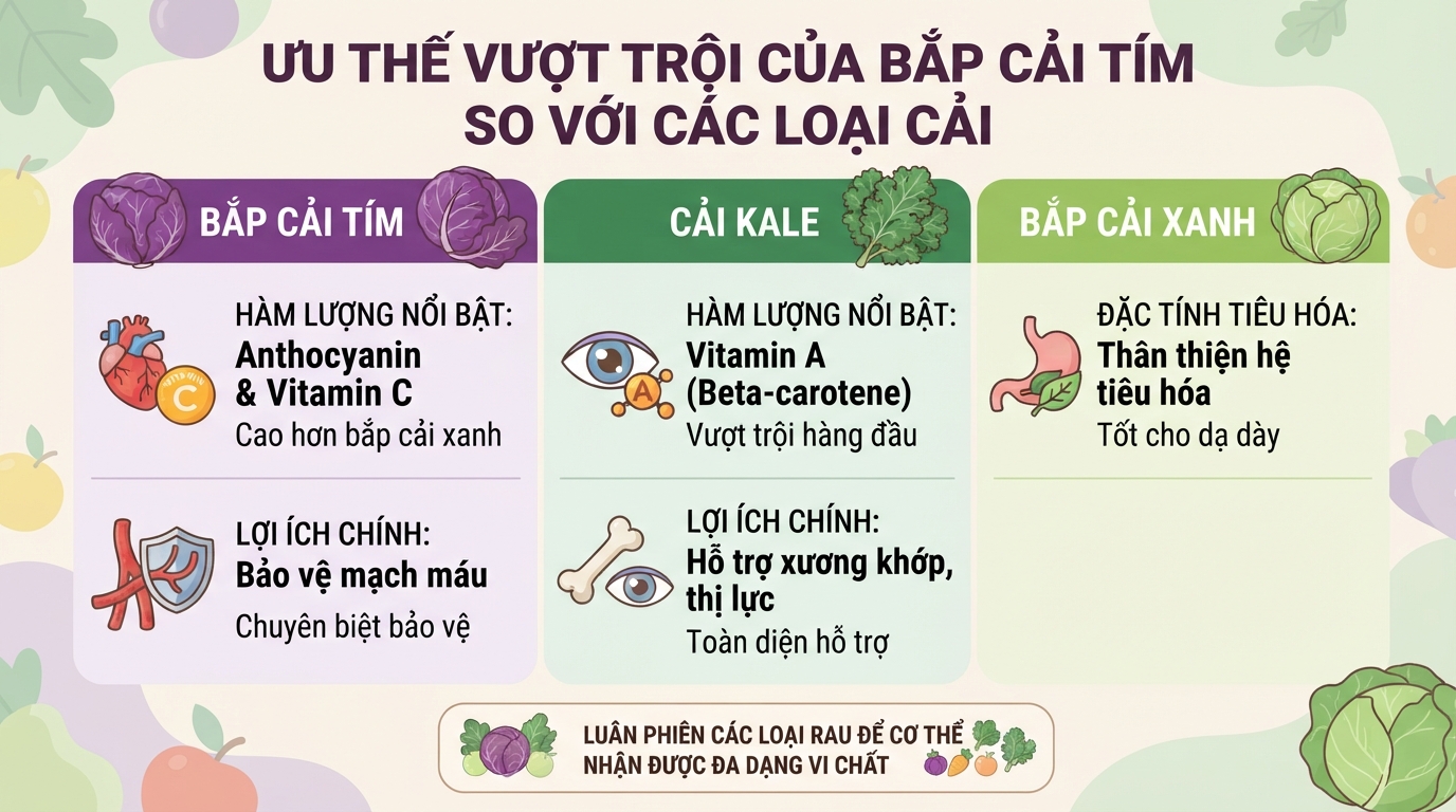 Bắp cải tím: 7 lợi ích sức khỏe và cách chế biến giữ trọn dinh dưỡng