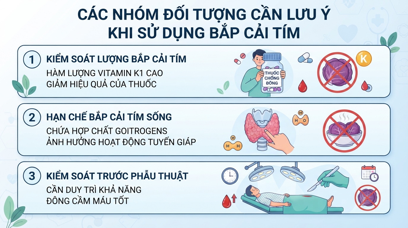 Nhóm đối tượng cần lưu ý liều lượng bắp cải tím do tương tác thuốc hoặc bệnh lý tuyến giáp.