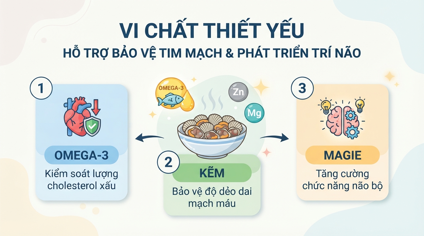 Nhóm vi chất thiết yếu hỗ trợ bảo vệ tim mạch và phát triển trí não.