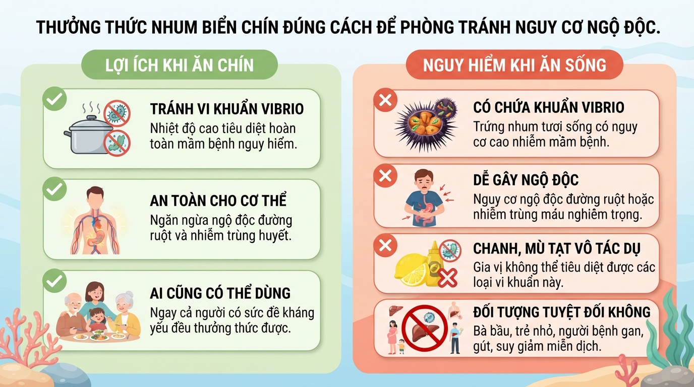 Nhum biển có tác dụng gì? 5 giá trị dinh dưỡng và lưu ý khi ăn