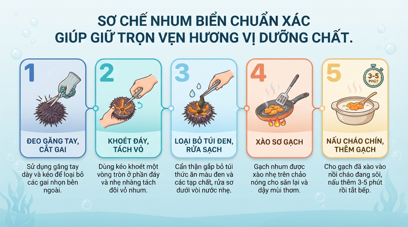 Nhum biển có tác dụng gì? 5 giá trị dinh dưỡng và lưu ý khi ăn