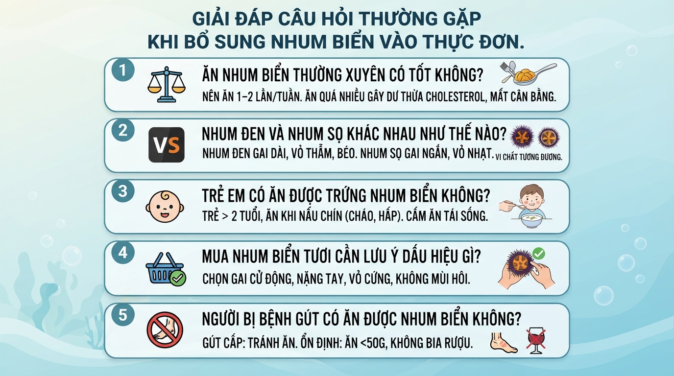 Nhum biển có tác dụng gì? 5 giá trị dinh dưỡng và lưu ý khi ăn