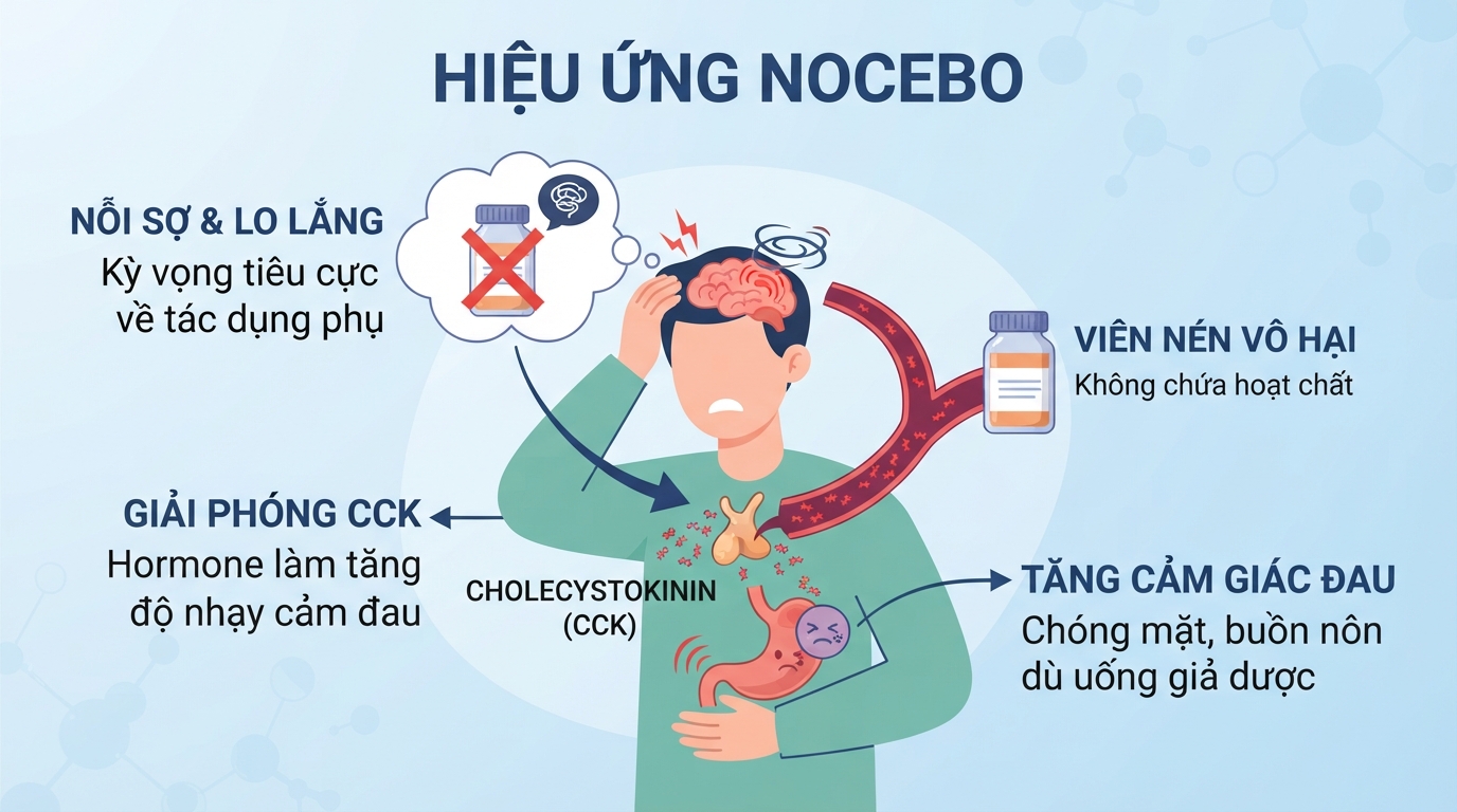 Nỗi lo lắng quá mức thúc đẩy giải phóng hormone gây tăng cảm giác đau.