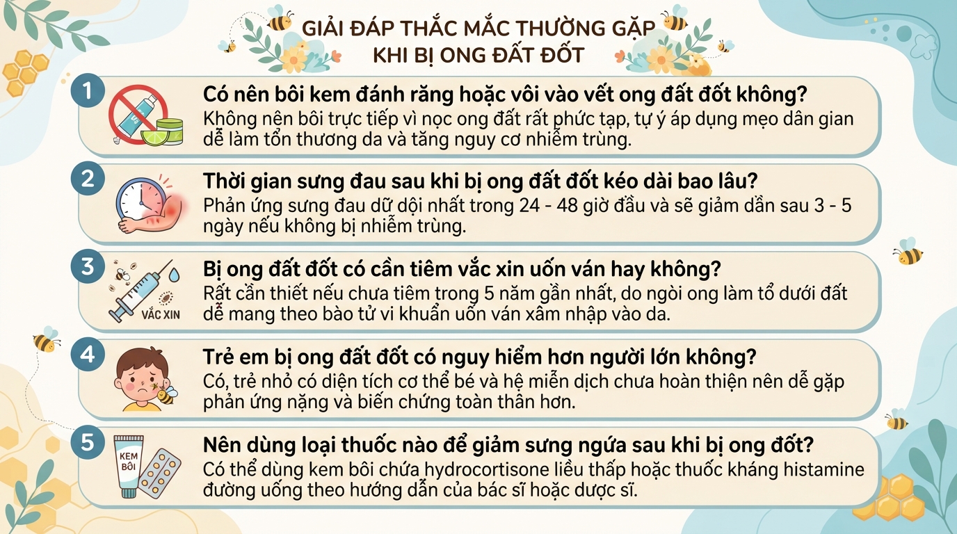 Ong đất có độc không? Cách nhận biết và sơ cứu khi bị ong đất đốt