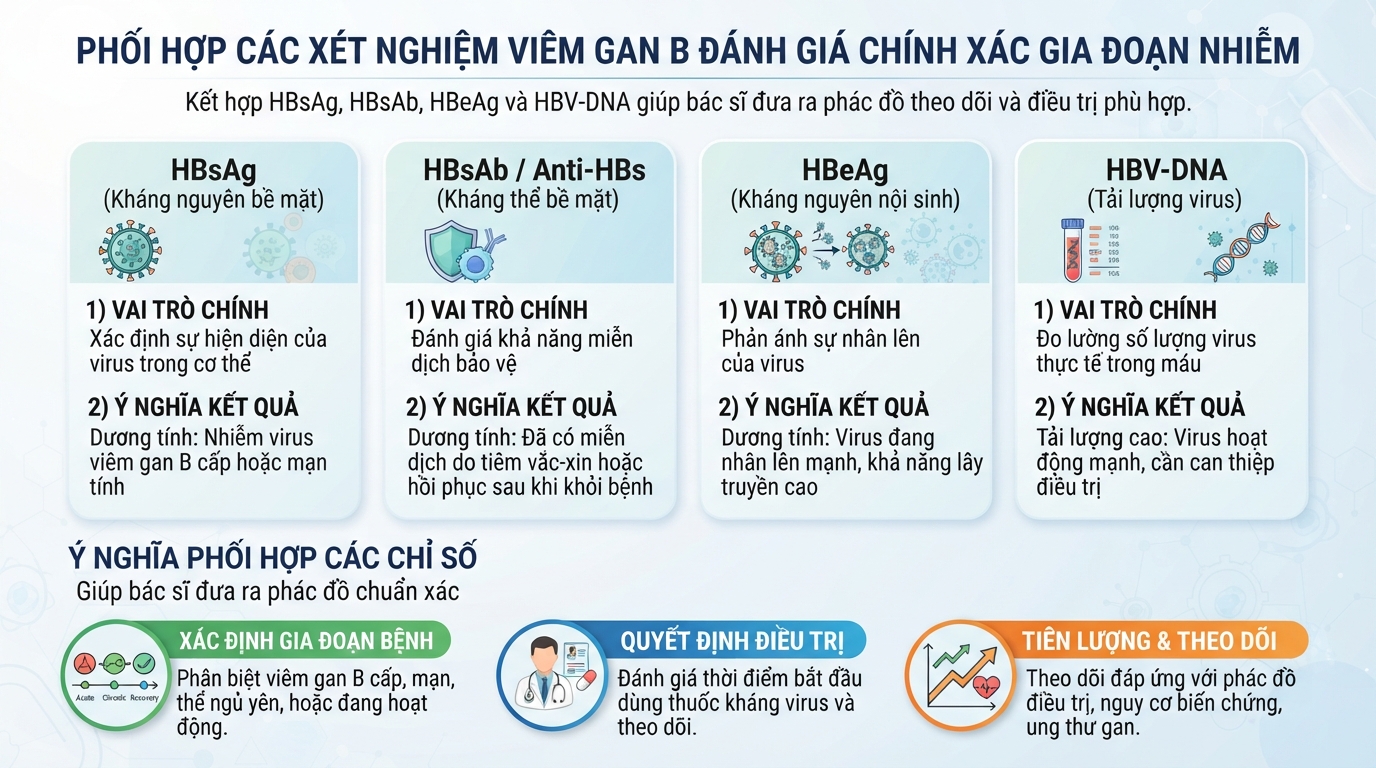 Phối hợp HBsAg, HBsAb và HBV-DNA giúp đánh giá chính xác giai đoạn nhiễm virus viêm gan B.
