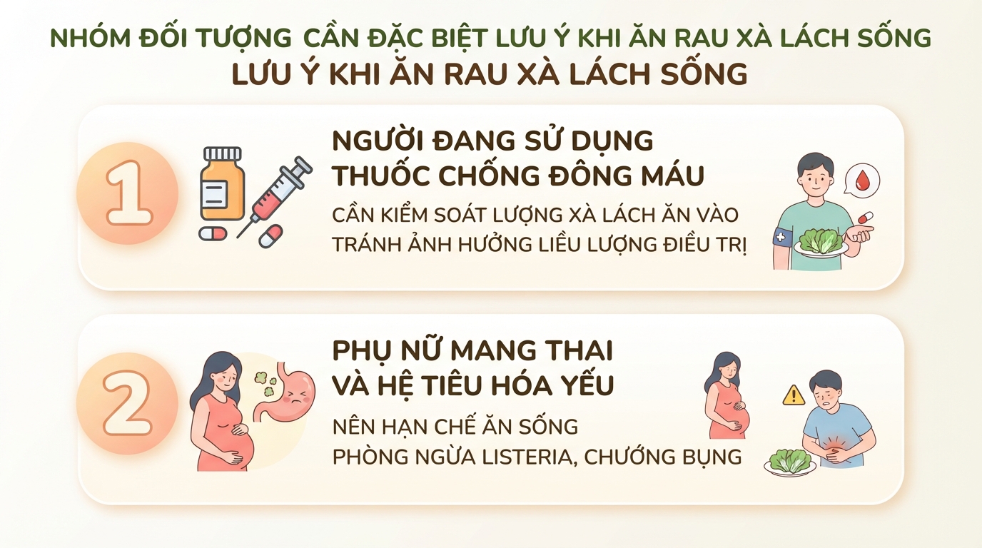 Ăn rau xà lách sống có tốt không? Lợi ích và lưu ý để tránh ngộ độc