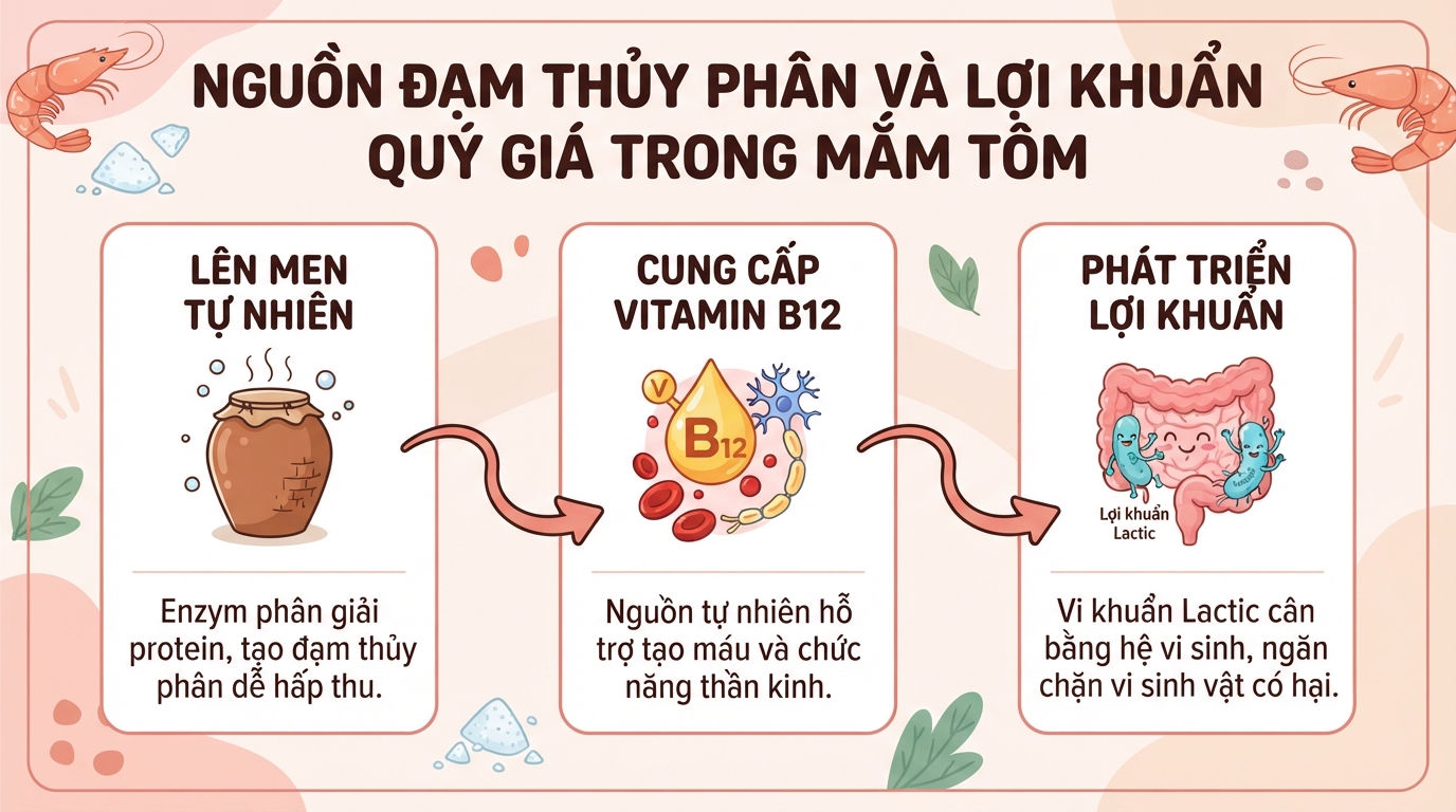 Mắm tôm làm từ gì? Giá trị dinh dưỡng và 4 lưu ý khi ăn
