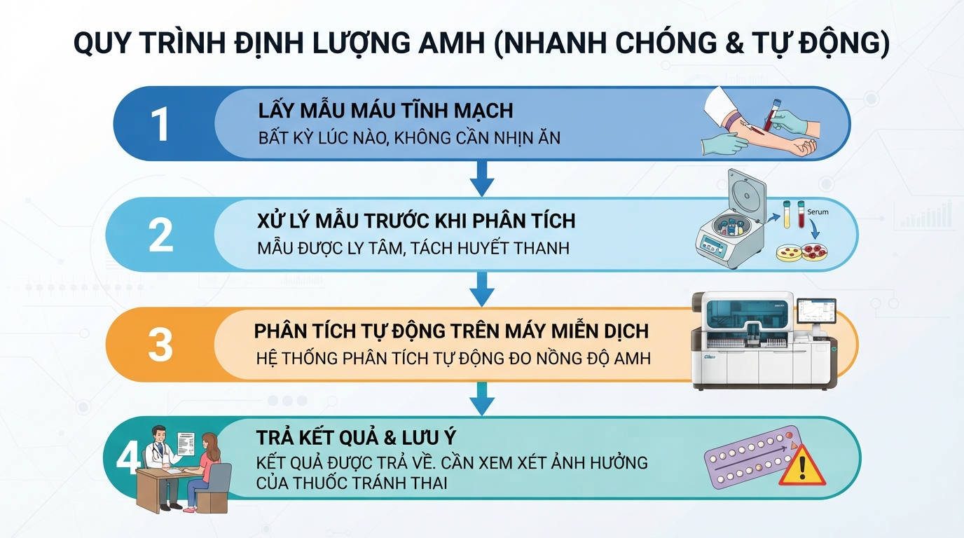 Quy trình định lượng AMH được thực hiện nhanh chóng qua mẫu máu tĩnh mạch và hệ thống máy tự động.