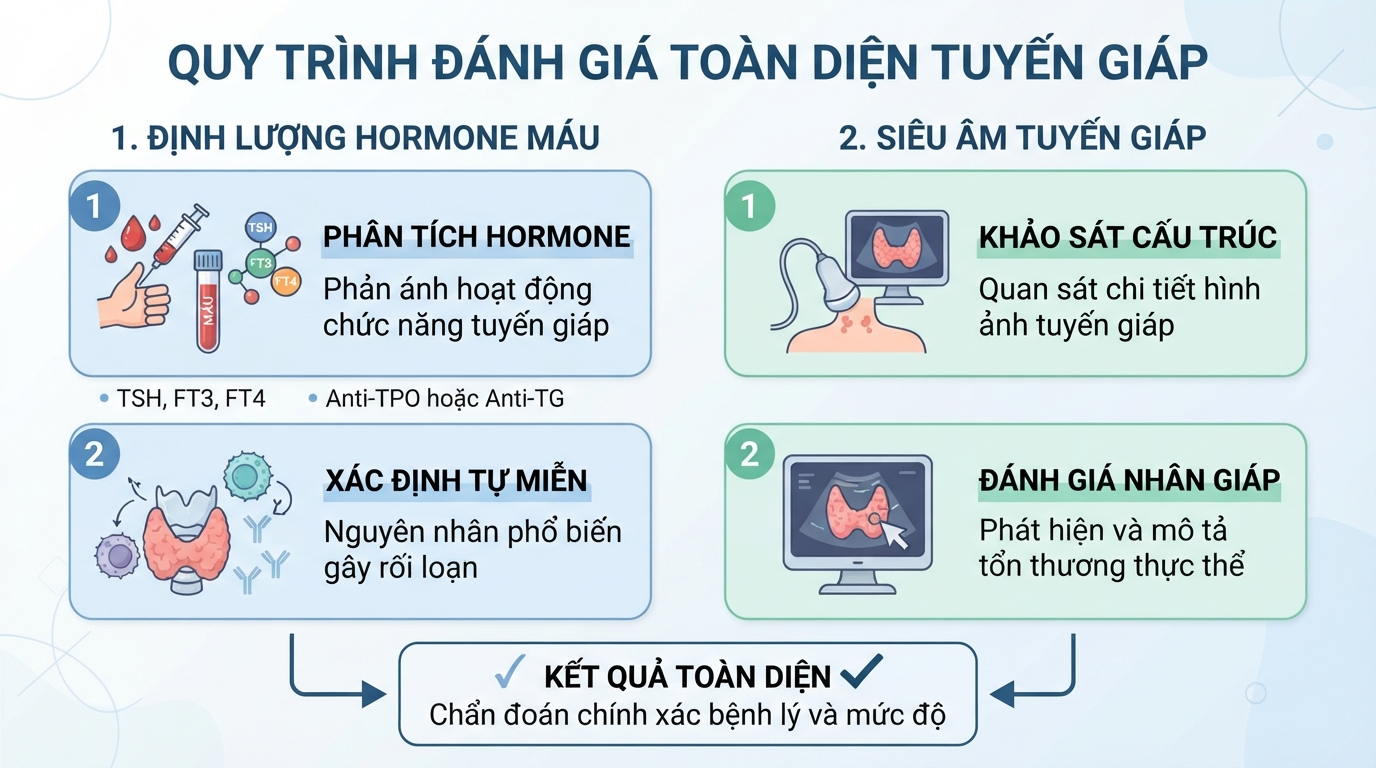Quy trình kết hợp định lượng hormone máu và siêu âm kiểm tra toàn diện tuyến giáp.