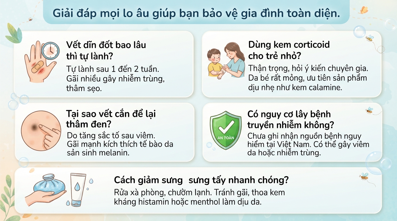 Con dĩn đốt: Hướng dẫn nhận biết vết cắn và cách diệt dĩn trong nhà