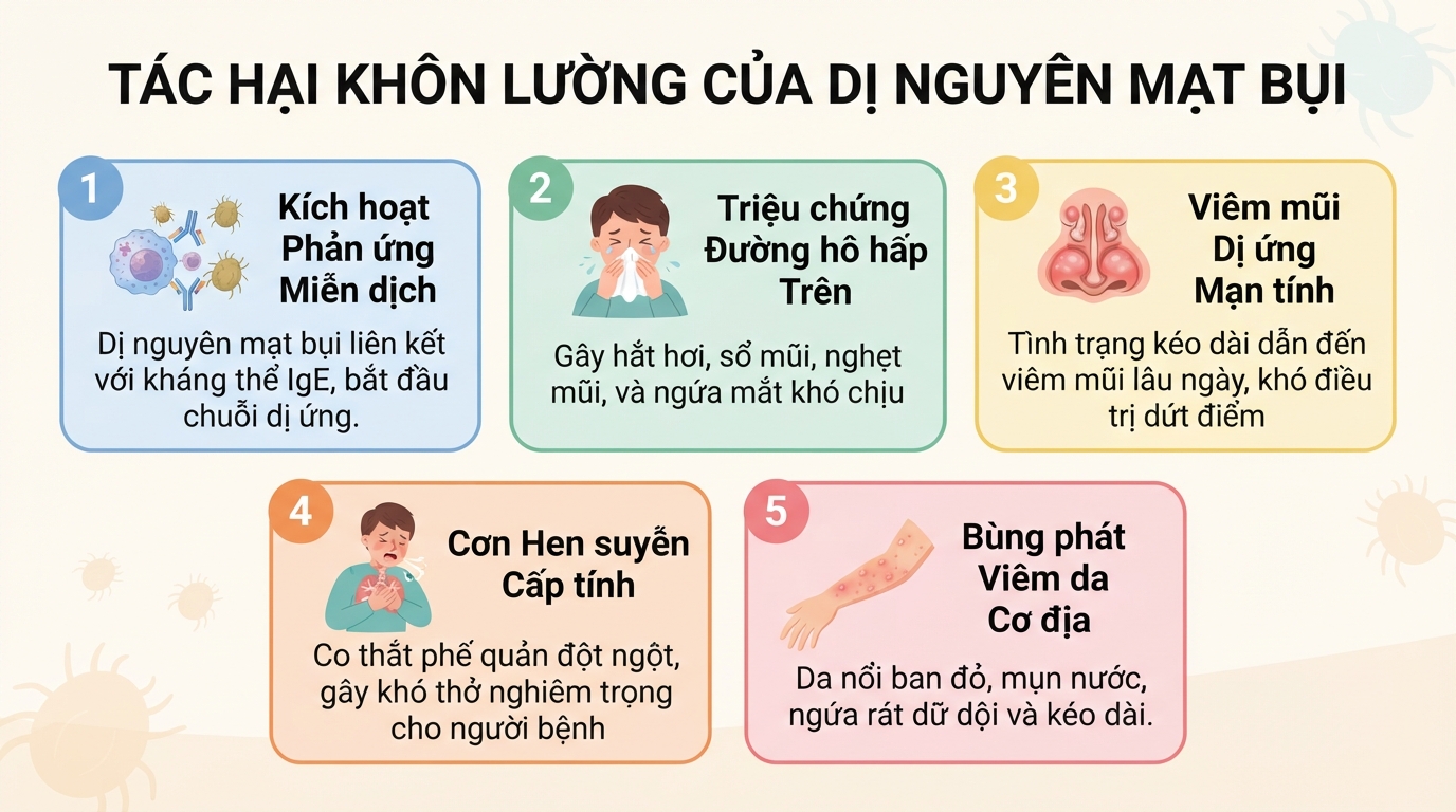 Con mạt là gì? Cách diệt và phòng ngừa dị ứng mạt bụi nhà hiệu quả