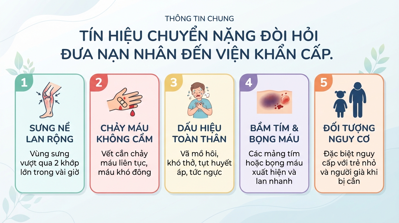 Rắn lục có độc không? Cách phân biệt và sơ cứu khi bị rắn lục cắn