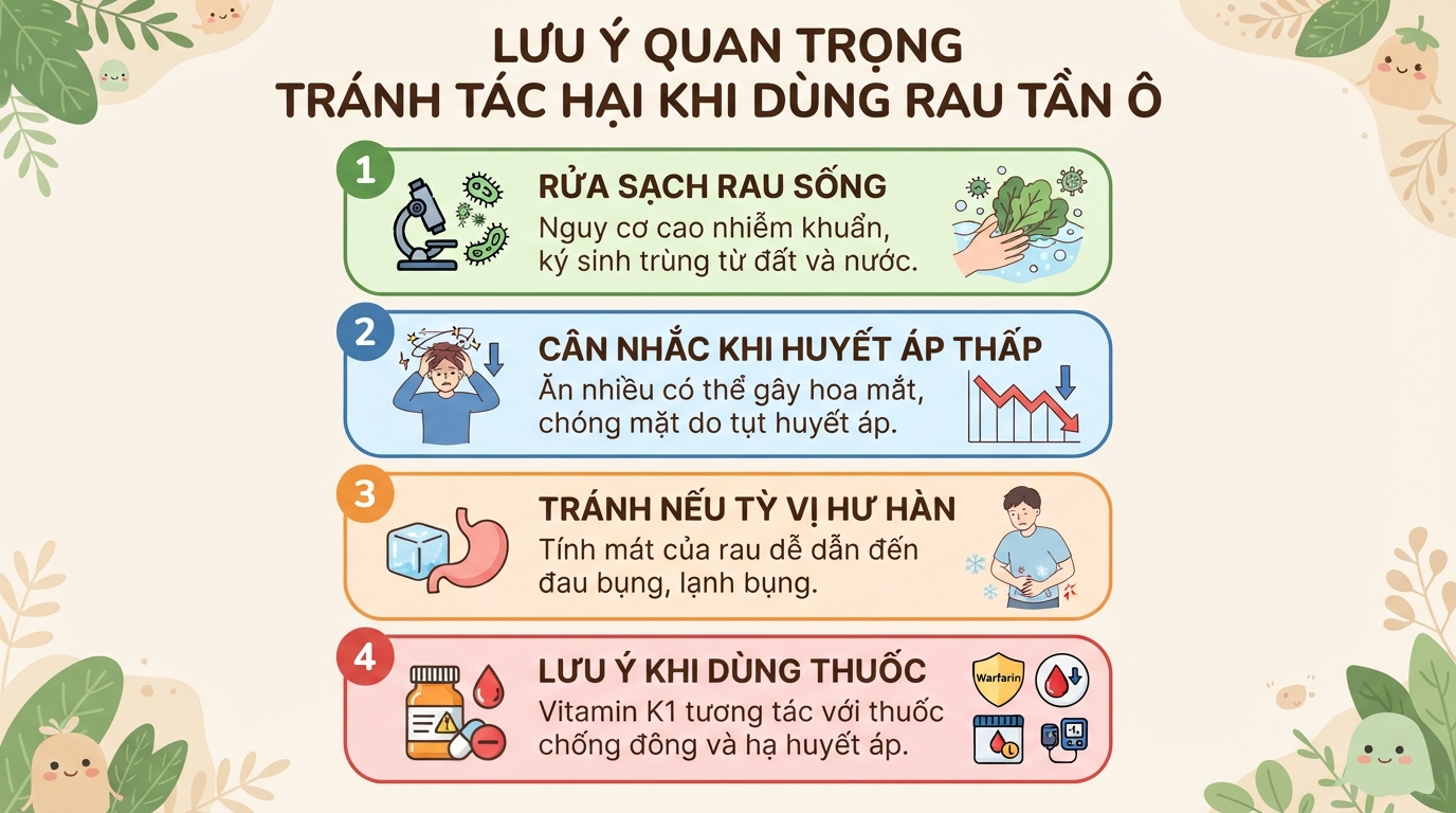 Rau tần ô có tác dụng gì? Cách dùng và phân biệt rau tần ô với ngải cứu