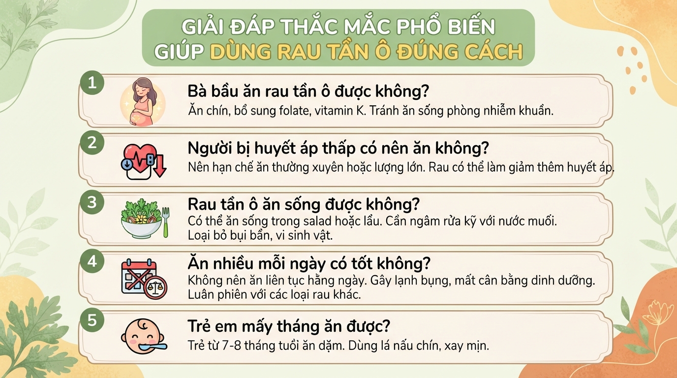 Rau tần ô có tác dụng gì? Cách dùng và phân biệt rau tần ô với ngải cứu