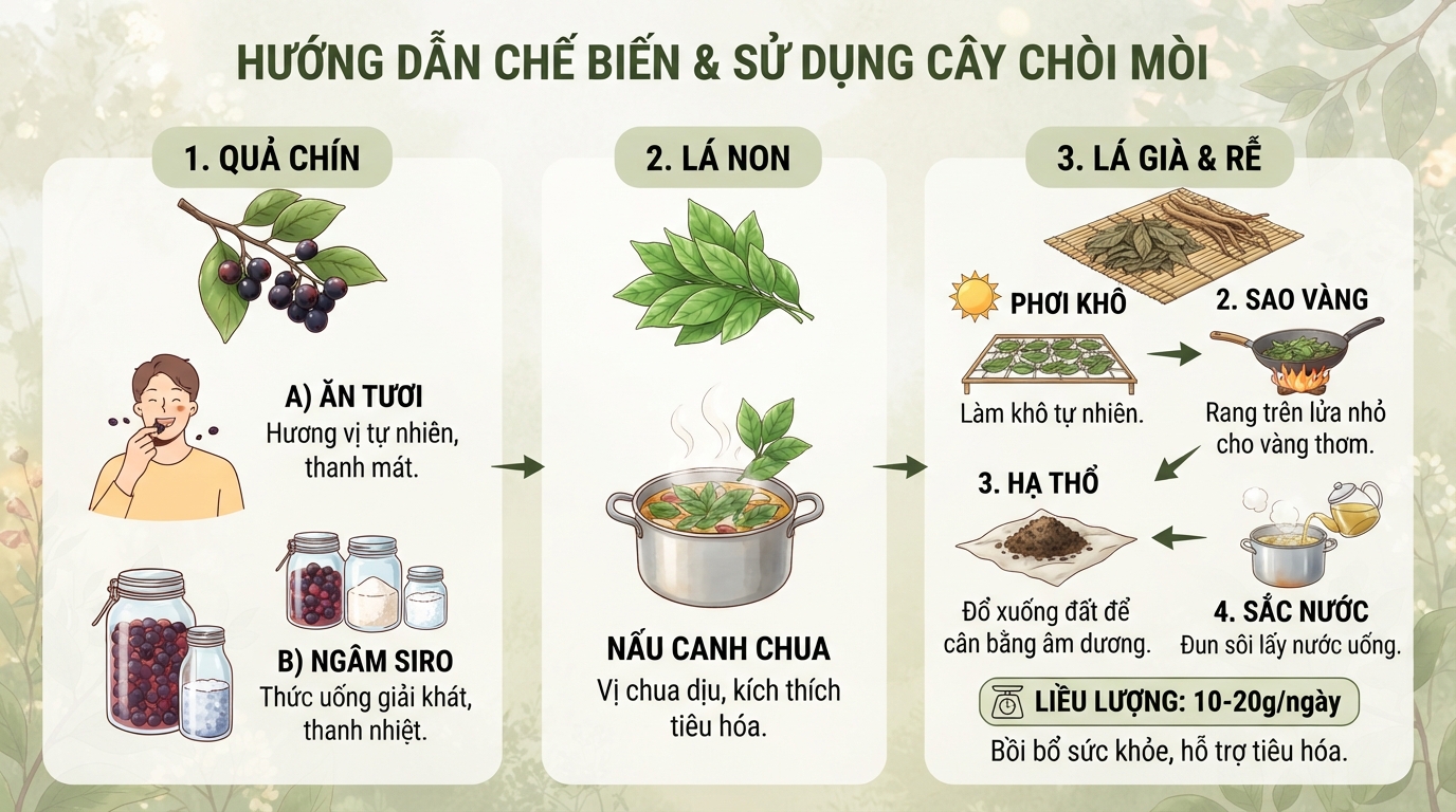 Sơ đồ hướng dẫn các cách chế biến và liều lượng khuyên dùng hằng ngày.