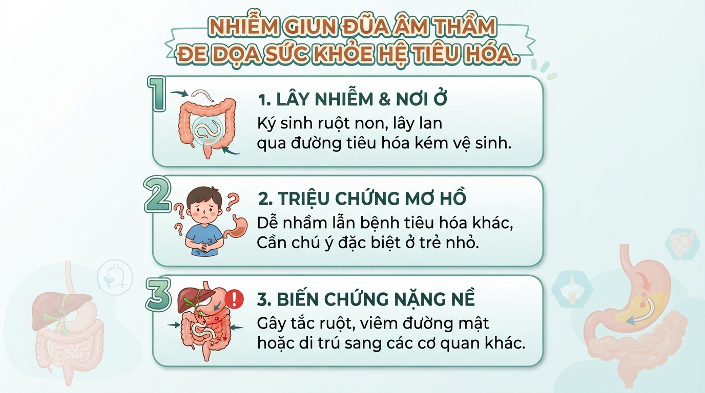 Giun đũa là gì? Dấu hiệu nhiễm, biến chứng và cách phòng ngừa