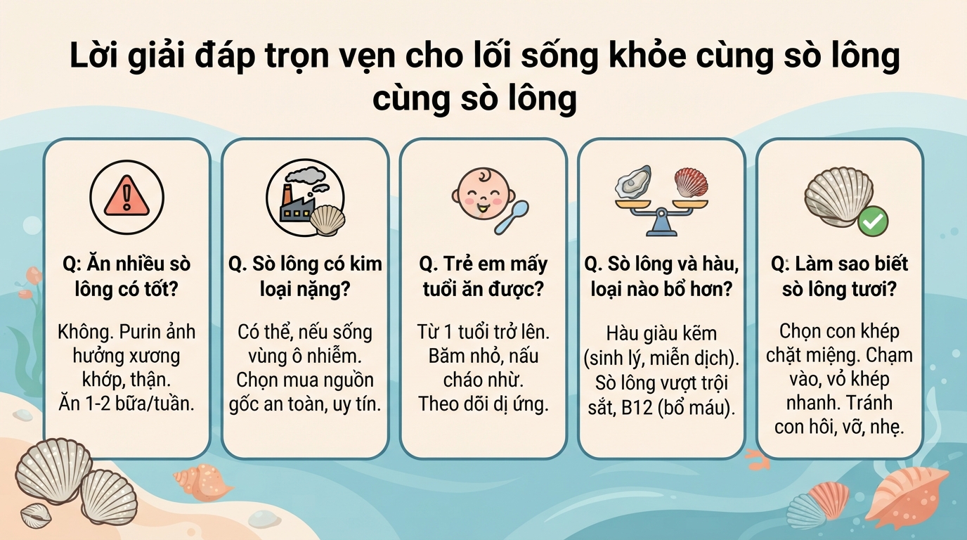Sò lông có tác dụng gì? Giá trị dinh dưỡng và lưu ý khi ăn