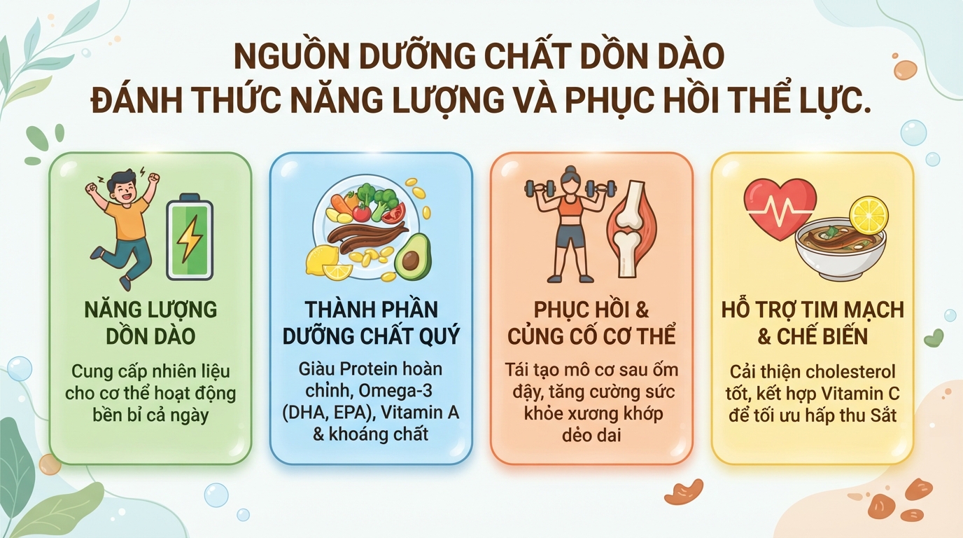 Cá chình: Dinh dưỡng, lợi ích sức khỏe và những lưu ý an toàn